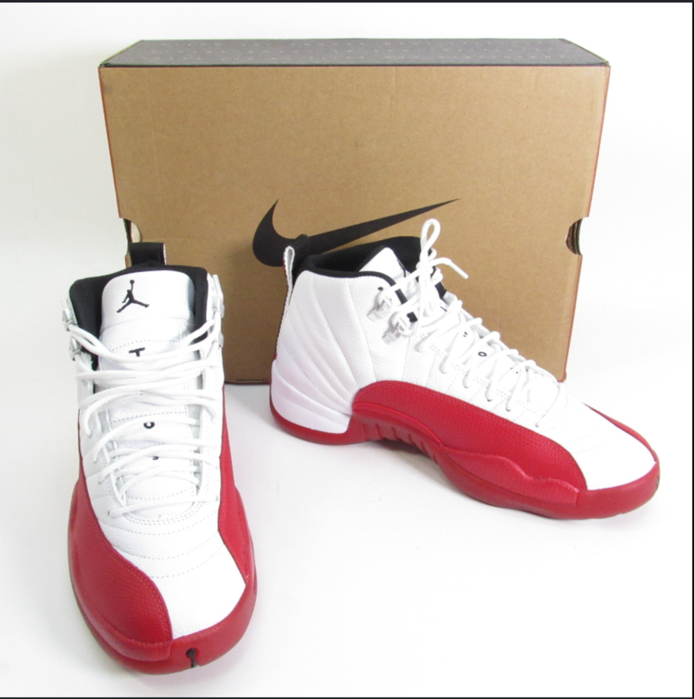 AIR JORDAN 12 RETRO (12)